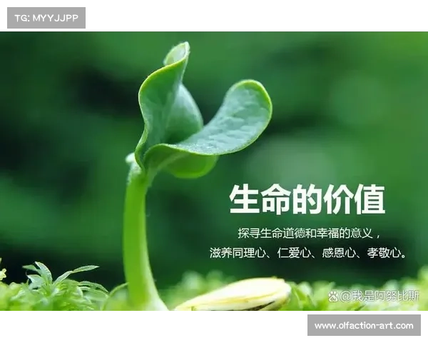 探索内心与世界的平衡之道引领通往更有意义的生活旅程